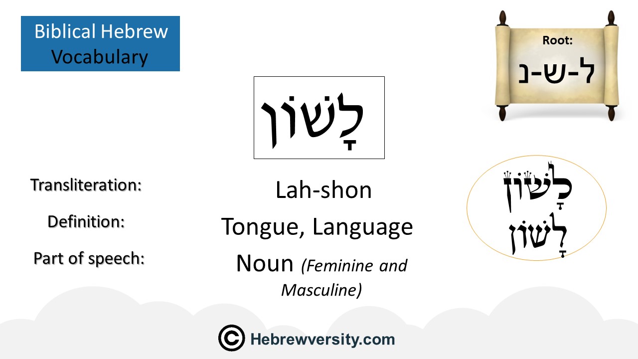 How To Say Tongue In Hebrew Hebrewversity