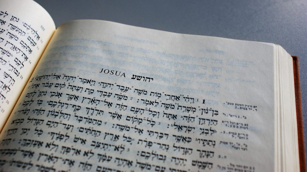 Understanding Biblical Hebrew