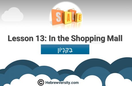 Lesson 13: In the Shopping Mall