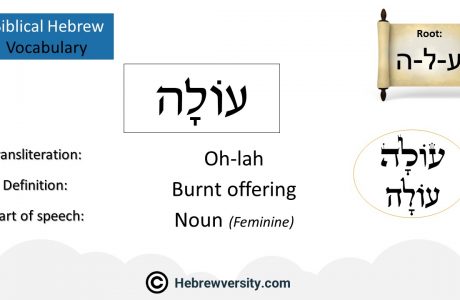 Biblical Hebrew Vocabulary List 30