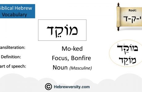 Biblical Hebrew Vocabulary List 33