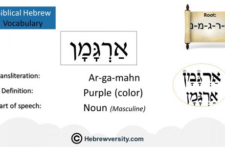 Biblical Hebrew Vocabulary List 27