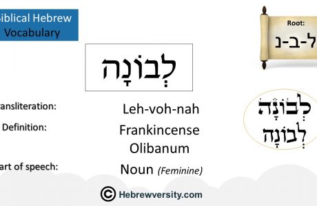 Biblical Hebrew Vocabulary List 28