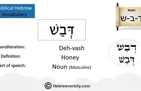 Biblical Hebrew Vocabulary List 29
