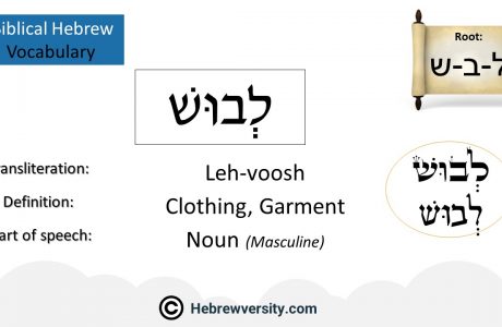 Biblical Hebrew Vocabulary List 36