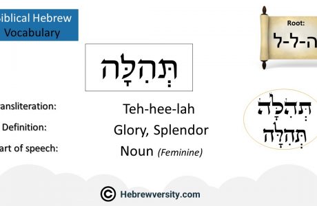 Biblical Hebrew Vocabulary List 37