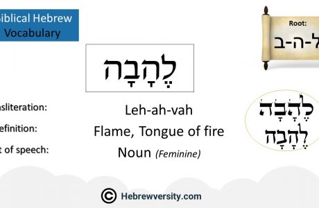 Biblical Hebrew Vocabulary List 38