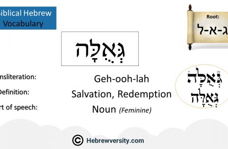 Biblical Hebrew Vocabulary List 39