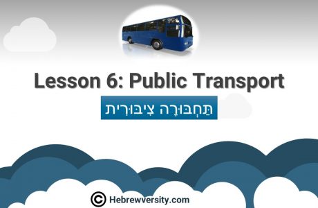 Lesson 6: Public transport