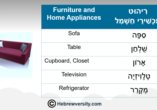 Furniture and Home Appliances