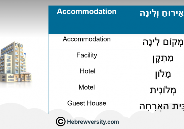 Accommodation