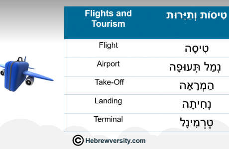 Flights & Tourism