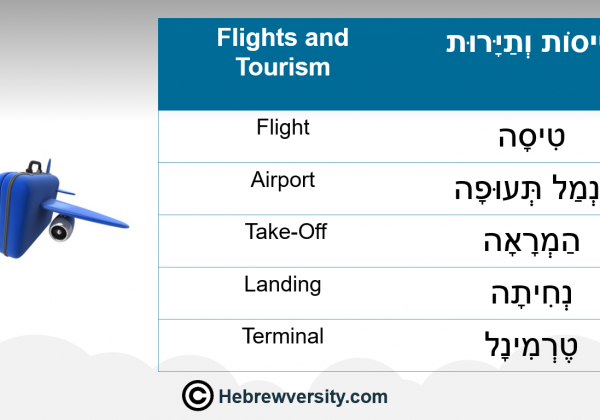 Flights & Tourism