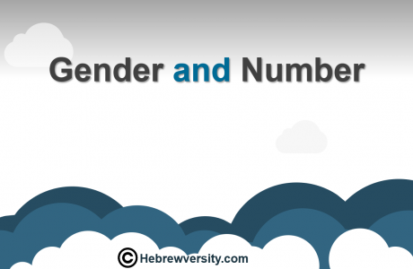 Gender and Number