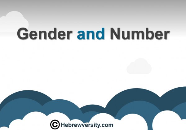 Gender and Number