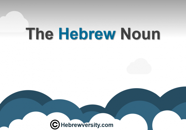 The Hebrew Noun