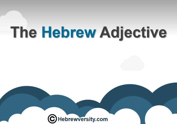 The Hebrew Adjective