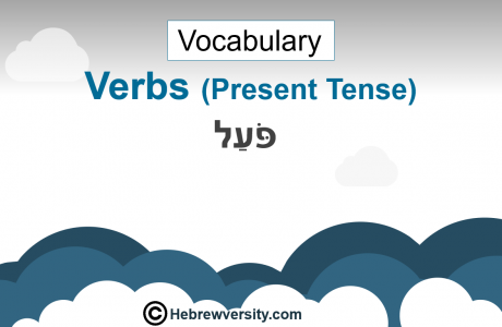 Hebrew Verbs (Present Tense) Vocabulary 8