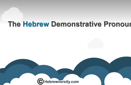 Demonstrative Pronoun
