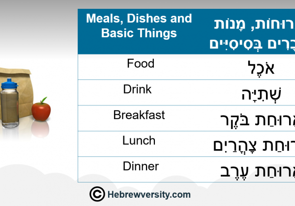 Meals, Dishes and Basic Things
