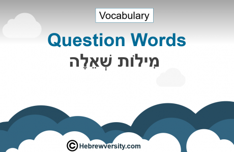 Question Words Vocabulary