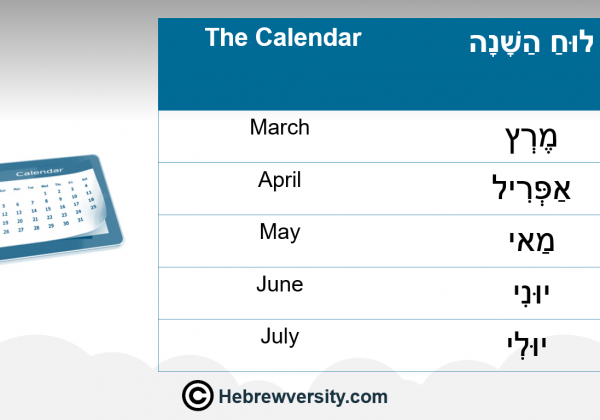 The Calendar