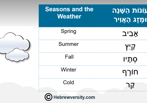 Seasons and the Weather