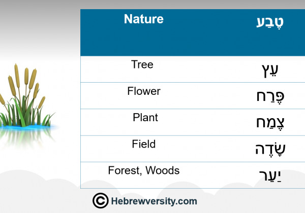 Nature