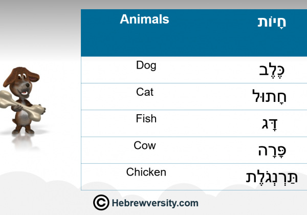 Animals