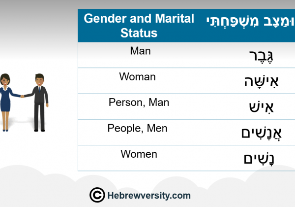 Gender and Marital Status