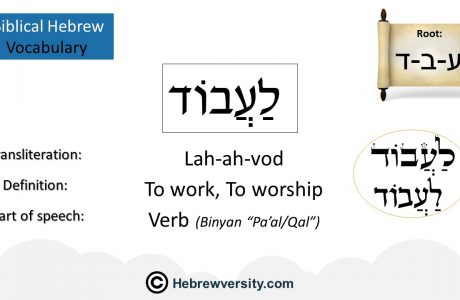 Biblical Hebrew Vocabulary List 11
