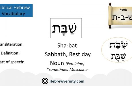 Biblical Hebrew Vocabulary List 12