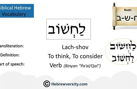 Biblical Hebrew Vocabulary List 14