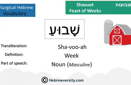 Shavuot Vocabulary