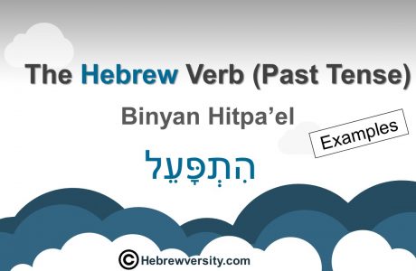 “Binyan Hitpa’el” Past Tense: Examples