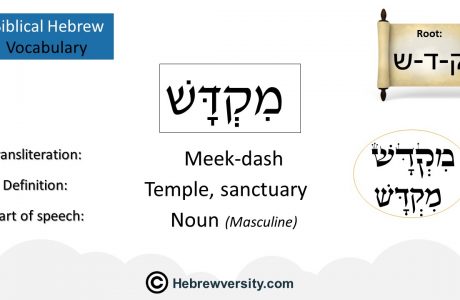 Biblical Hebrew Vocabulary List 15