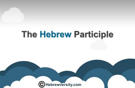 The Hebrew Participle
