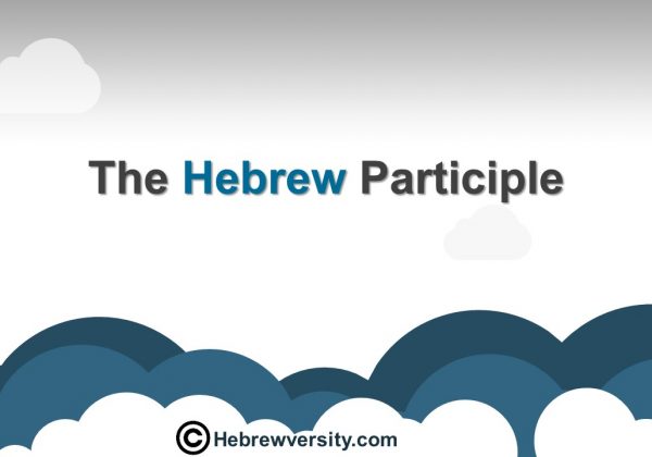 The Hebrew Participle