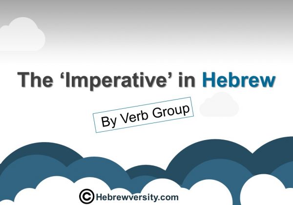 Imperative by Verb Group
