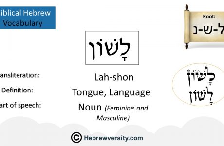 Biblical Hebrew Vocabulary List 7