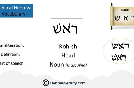 Biblical Hebrew Vocabulary List 8