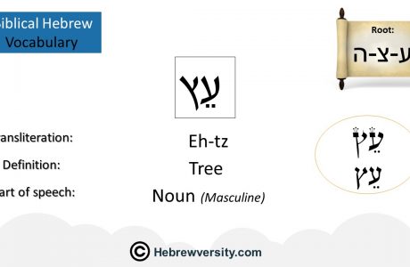 Biblical Hebrew Vocabulary List 9