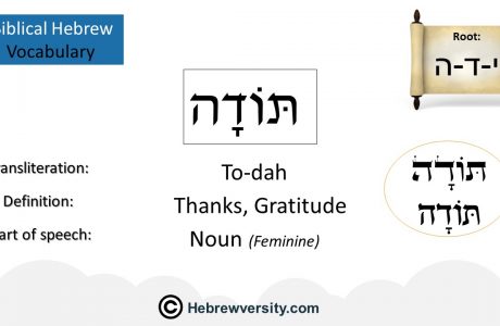 Biblical Hebrew Vocabulary List 10