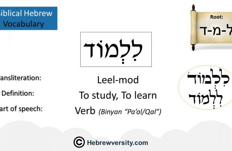 Biblical Hebrew Vocabulary List 6