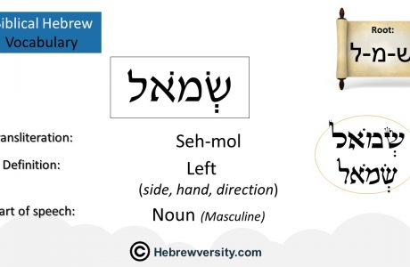 Biblical Hebrew Vocabulary List 24