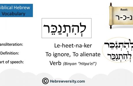 Biblical Hebrew Vocabulary List 22