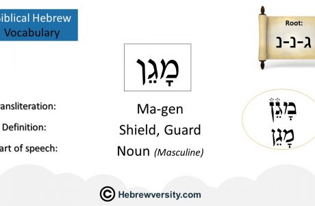 Biblical Hebrew Vocabulary List 17