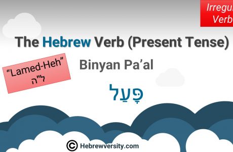 Binyan Pa’al: Present Tense – “Lamed-Heh”