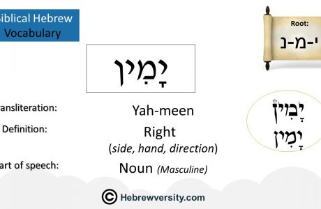 Biblical Hebrew Vocabulary List 23
