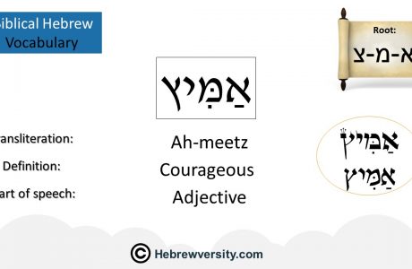 Biblical Hebrew Vocabulary List 19